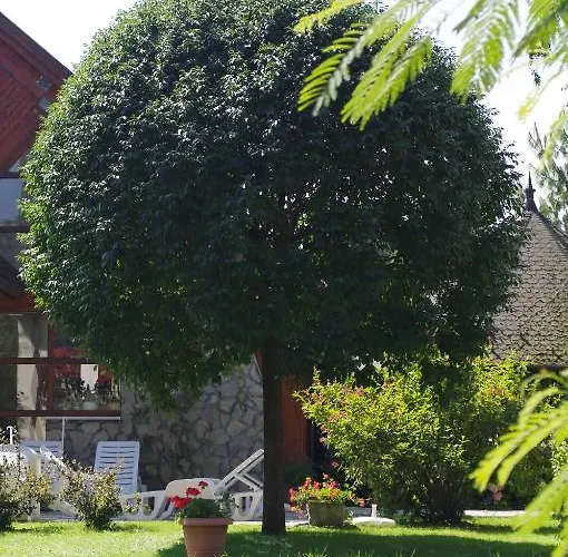 Otel Agnes 3*